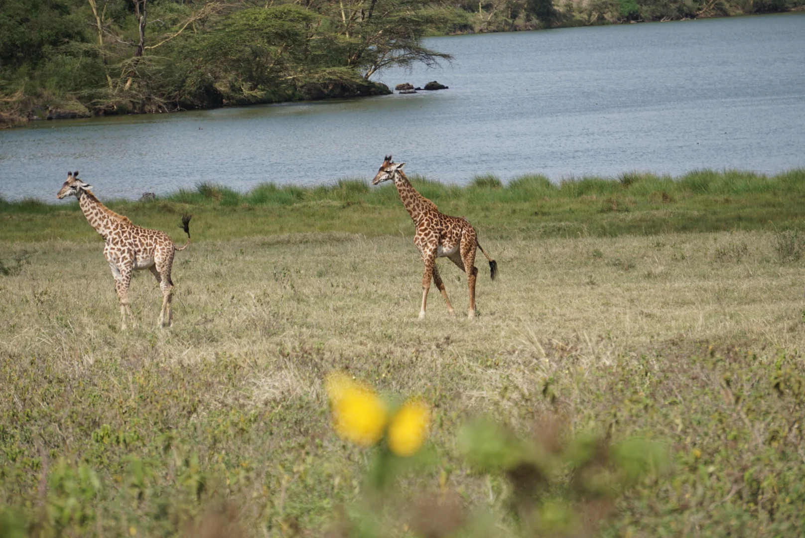 God’s gift to me at the end of our trek…