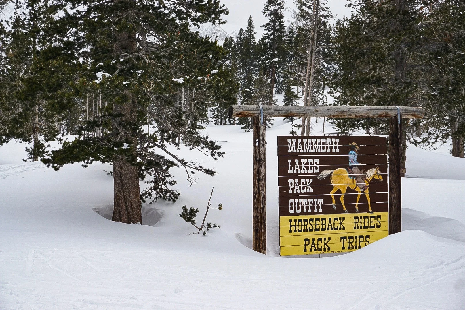 Goldenstateofminds - 