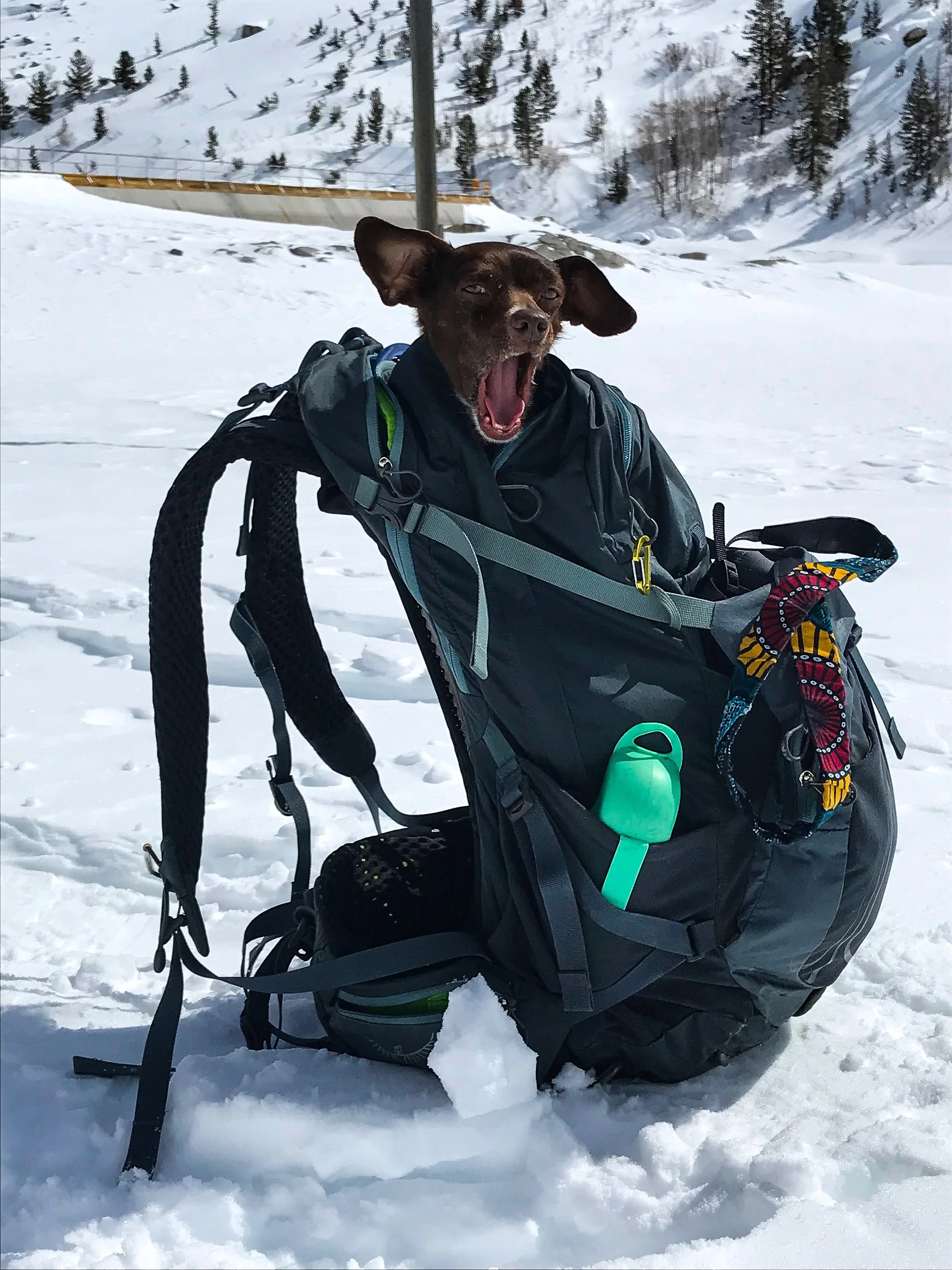 Goldenstateofminds - 