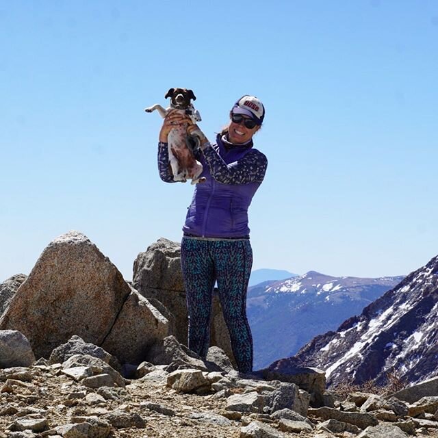 It&rsquo;s not the size of the dog in the fight, it&rsquo;s the size of the fight in the dog. 
Who would have thought this little 14 pounder would be chasing bears, catching mice, bagging peaks, and soaking up every single moment of backcountry adven