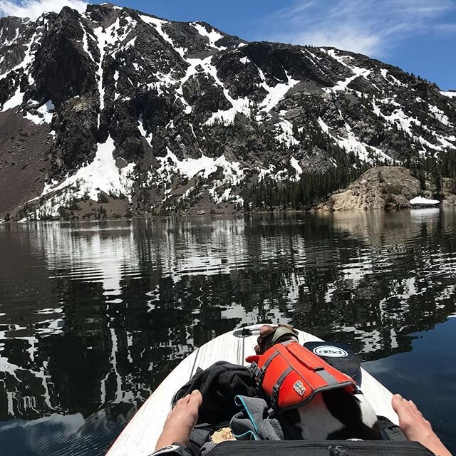 Summer is my favorite season and Moo is my favorite first mate 🐶🏔
#whyareherearslikethat #paddleboarding #lakedays #easternsierra #lakedaysarethebest #summervibes #summer #tiogapass #ellerylake #dogsthatpaddleboard #forceofnature #cashmeoutside #sh