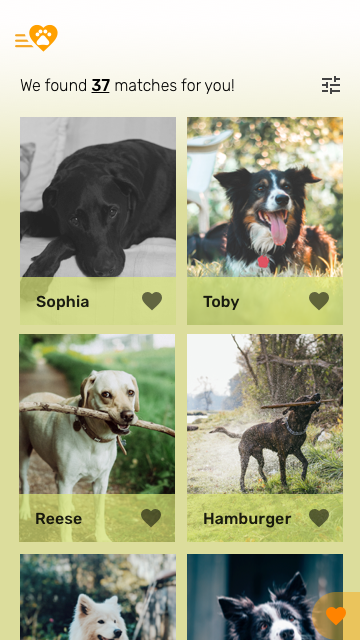 Quiz Results