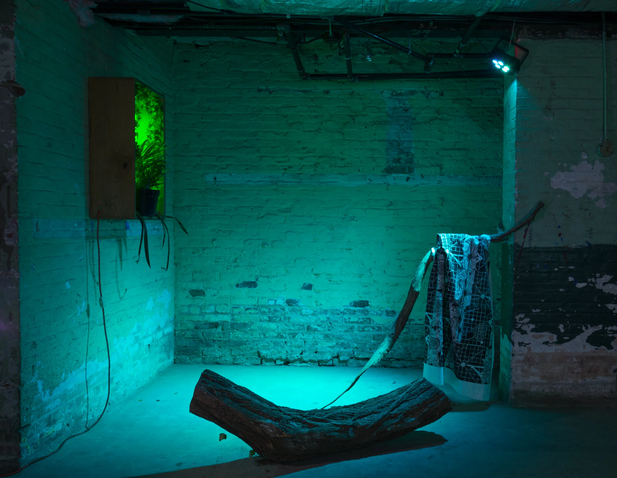 Installation View , 2017 Collaborative work by Ariel C Foster (right) & Erick Antonio Benitez(left)