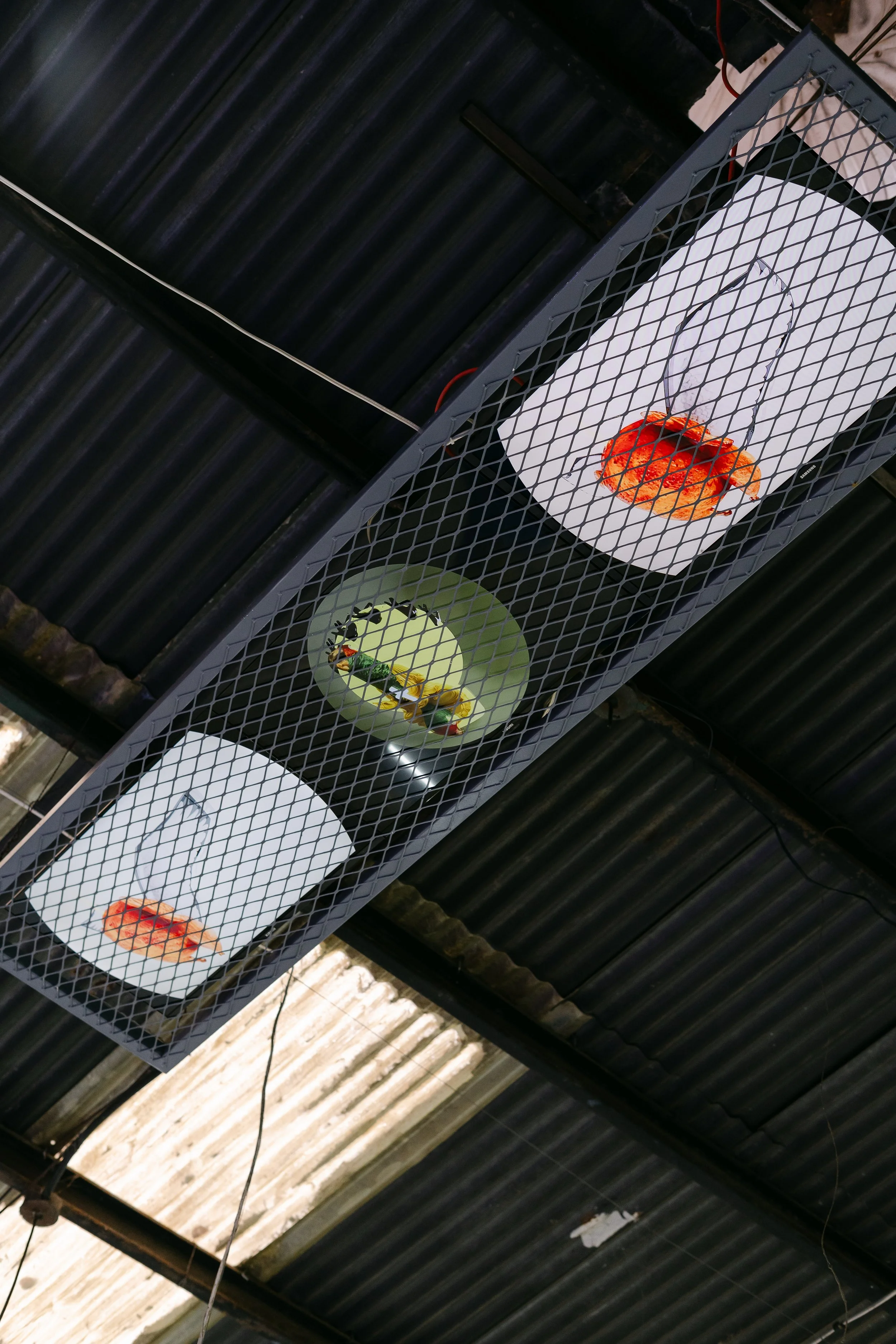 EN POCAS PALABRAS - EAB 2025-50.jpg