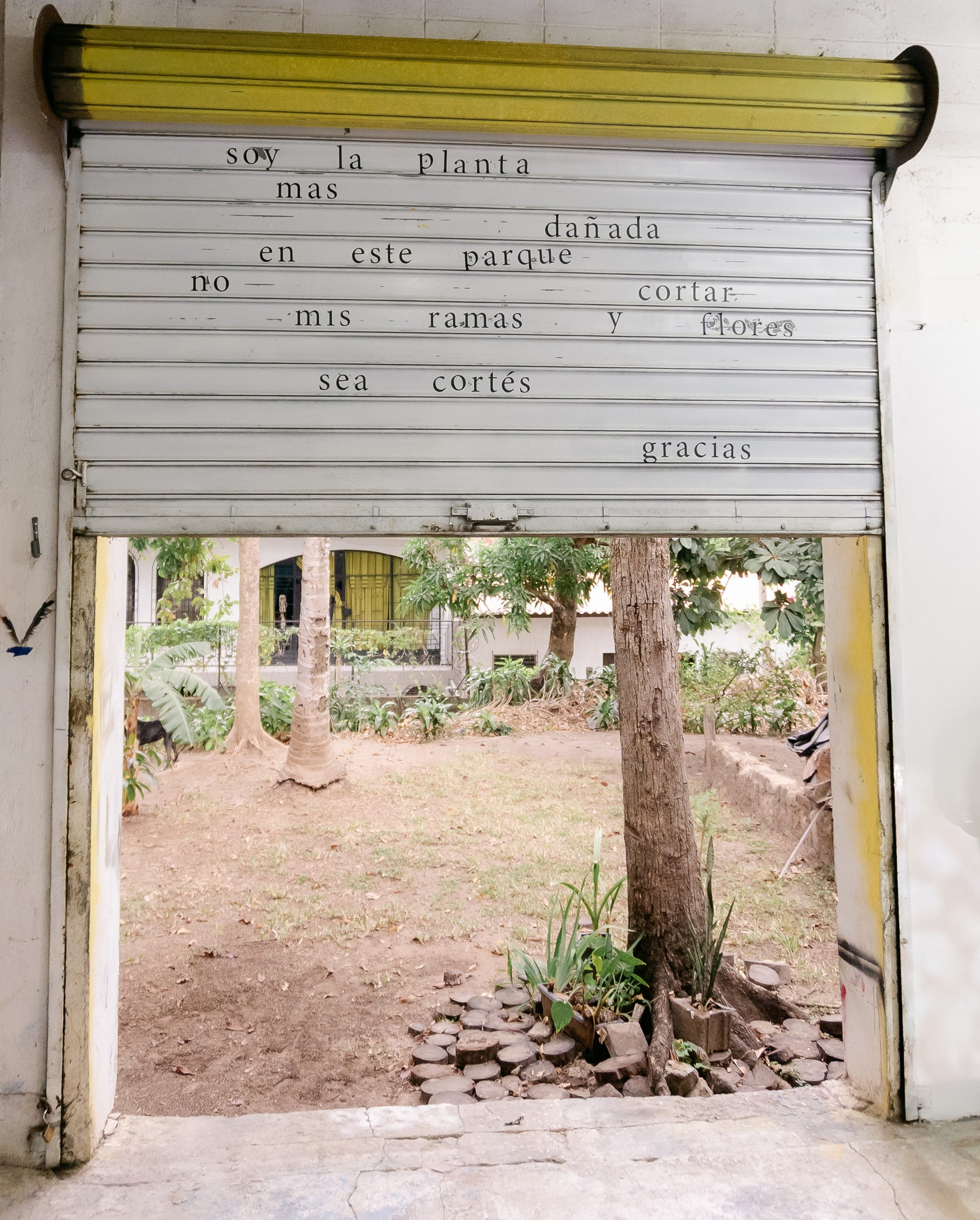 9_Benitez_Installation View_En Pocas Palabras.jpg