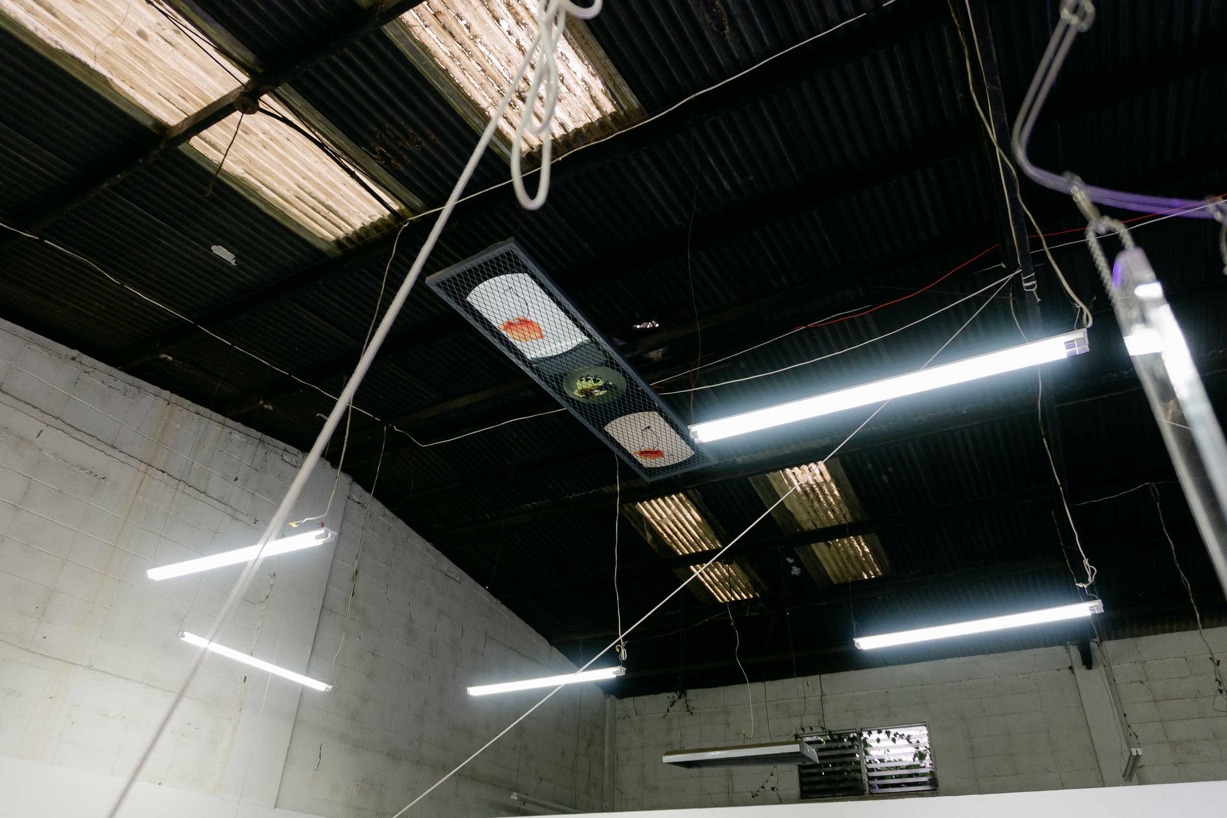 EN POCAS PALABRAS - EAB 2025-137.jpg