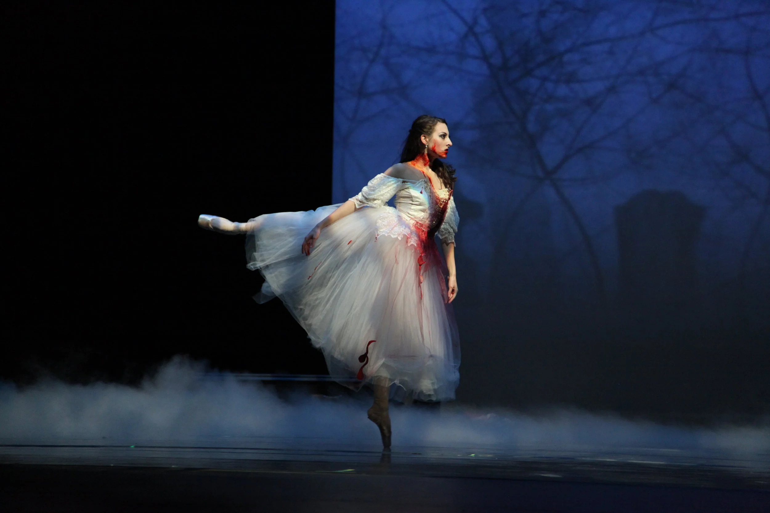 Dracula Graveyard.JPG