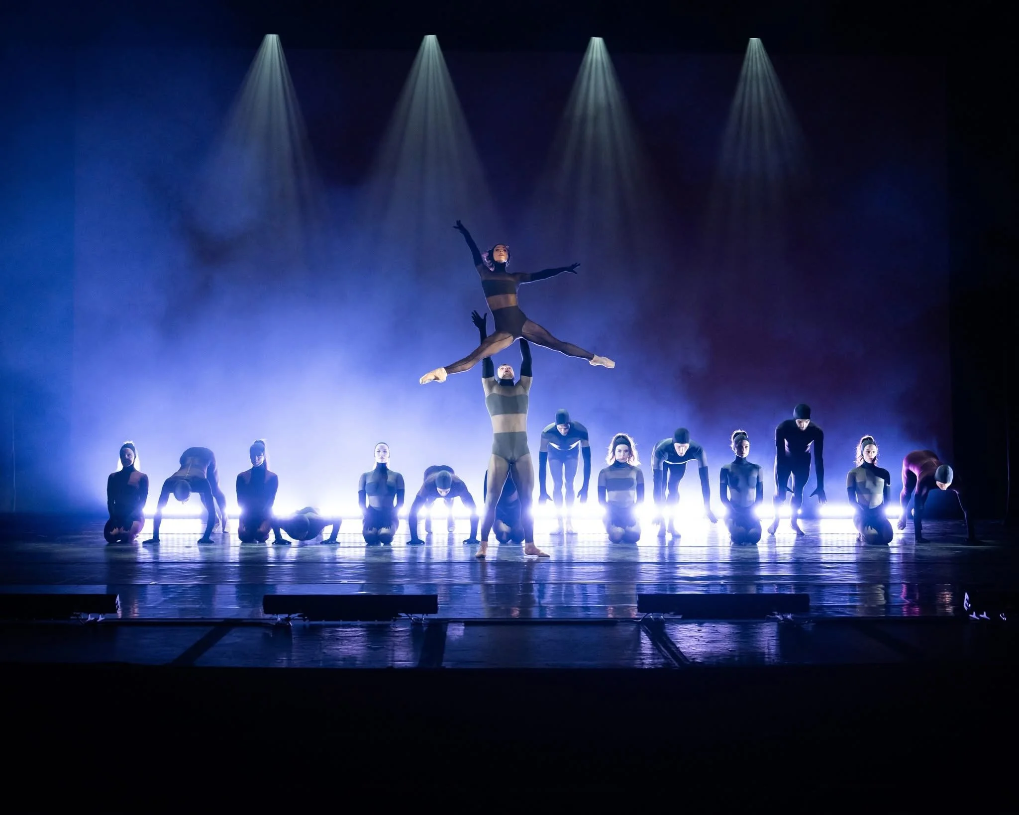 TWIGS by James Whiteside