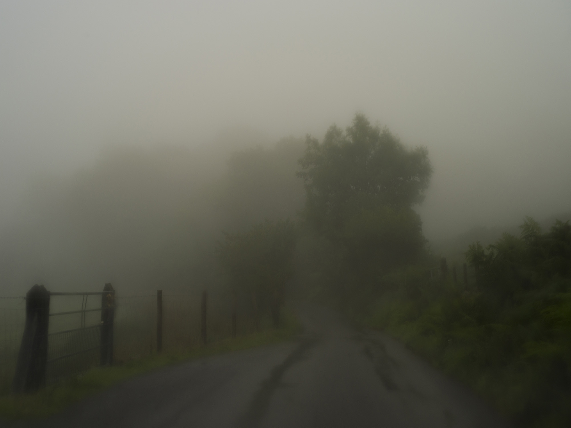 _IGP8875.jpg