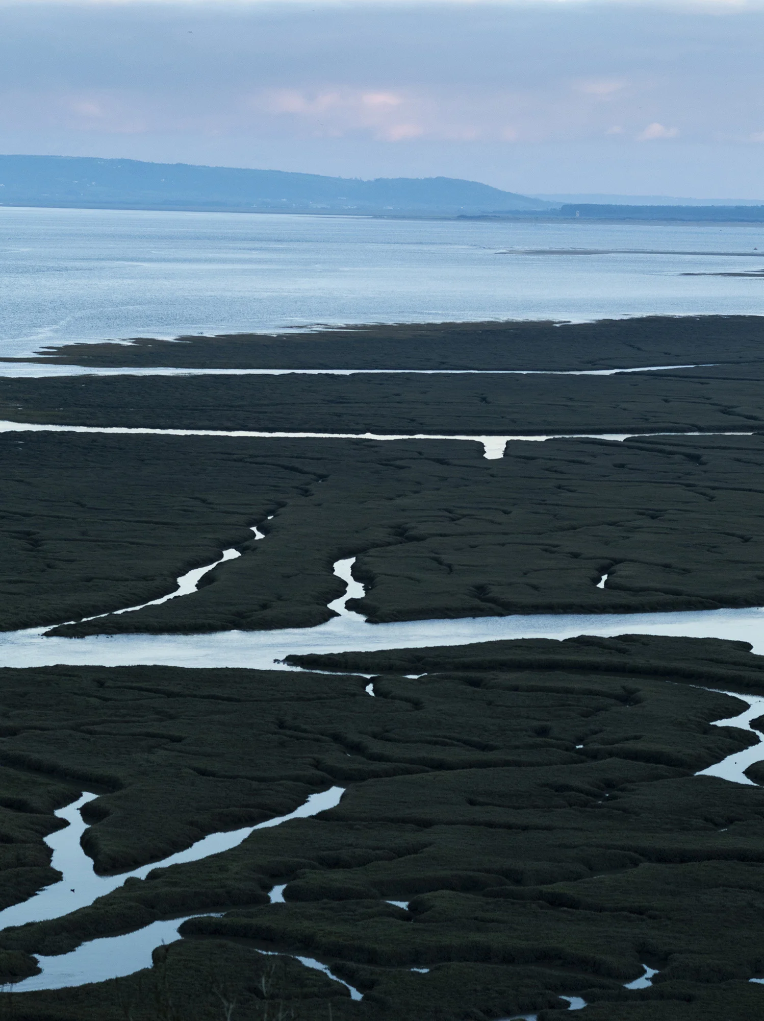 _IGP0556.jpg