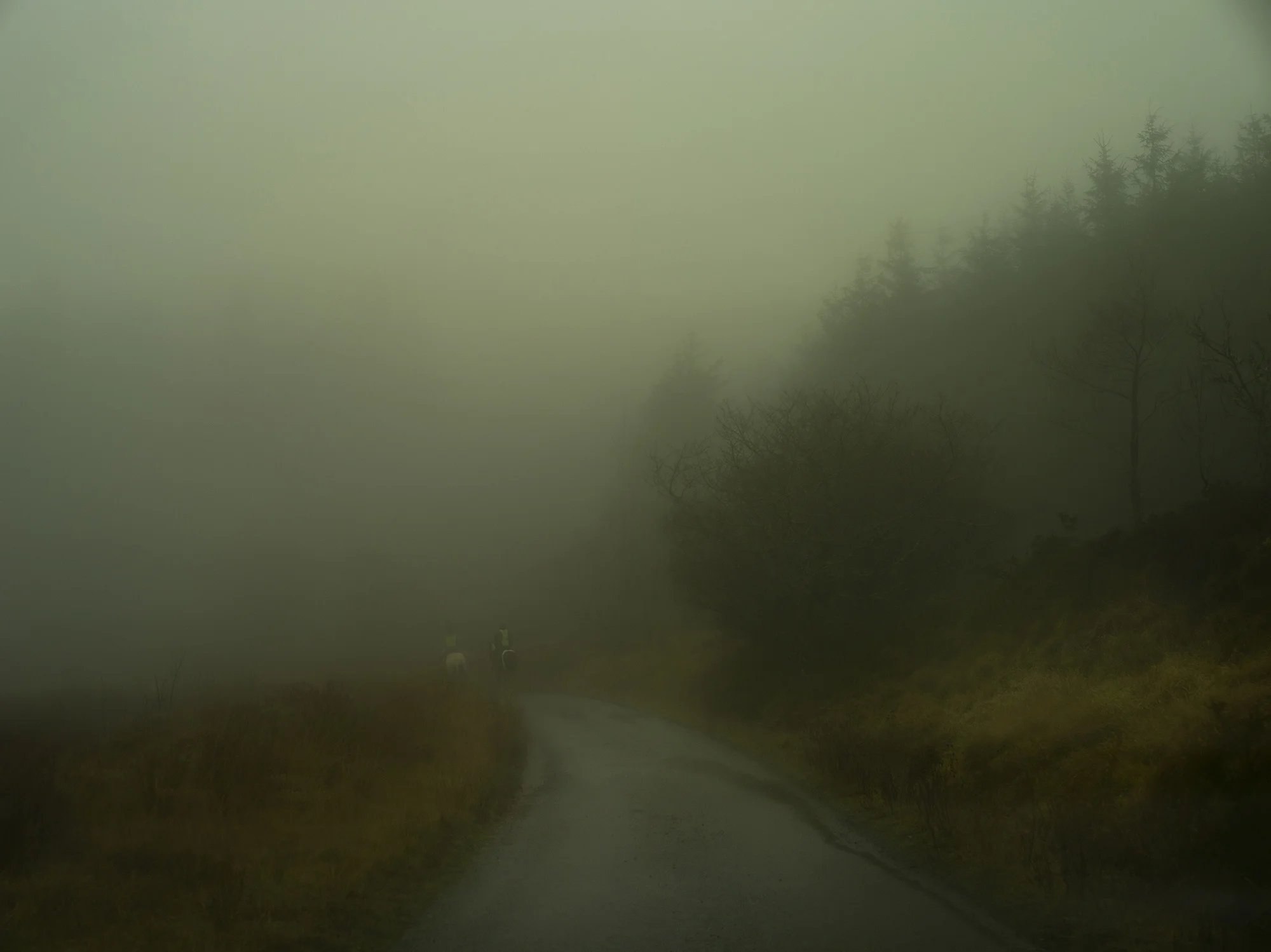 _IGP0374.jpg
