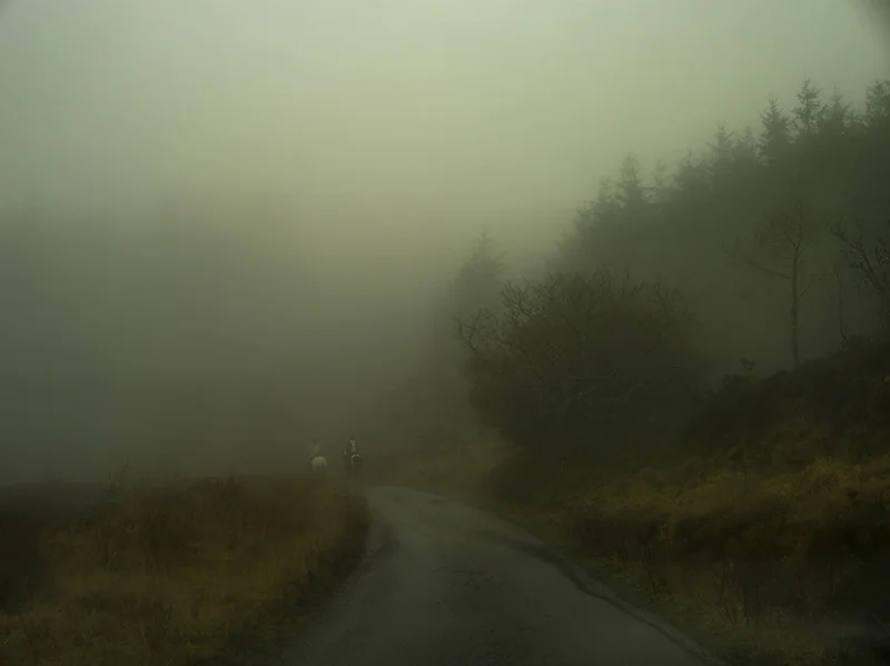 _IGP0374.jpg