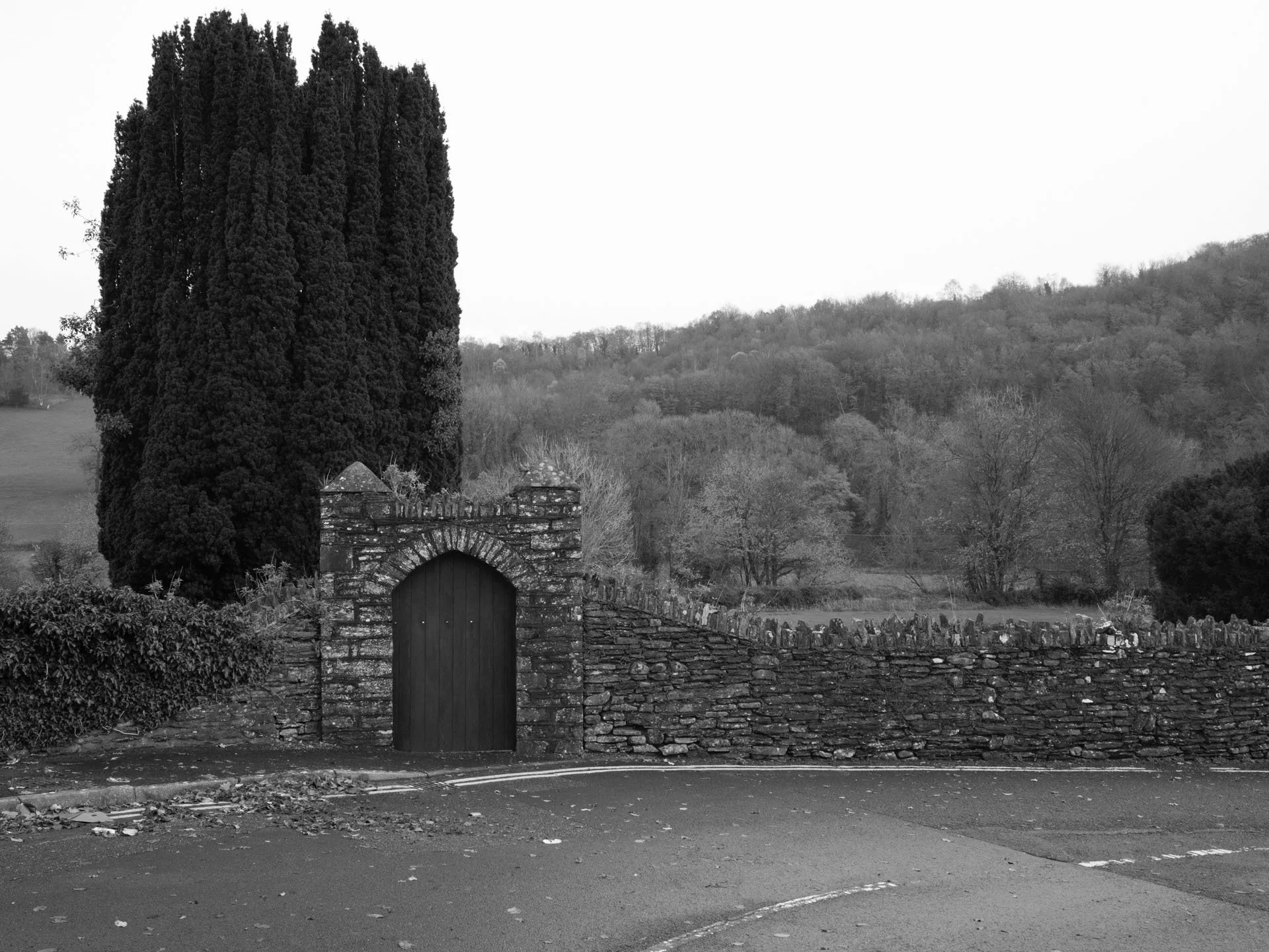 DSC07288 copy.jpg