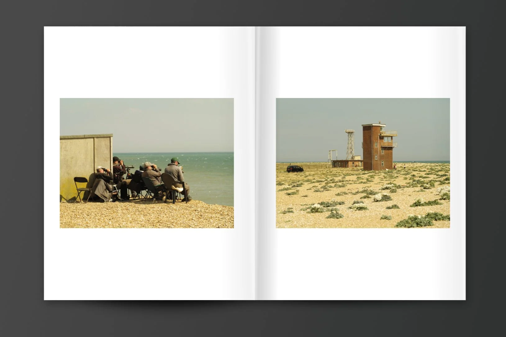 Mo_Dungeness_spreads_2.jpg