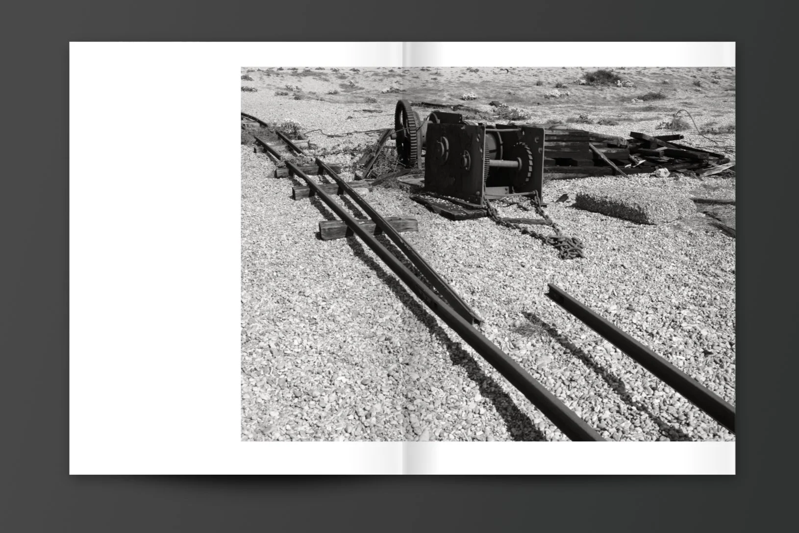 Mo_Dungeness_spreads_3.jpg