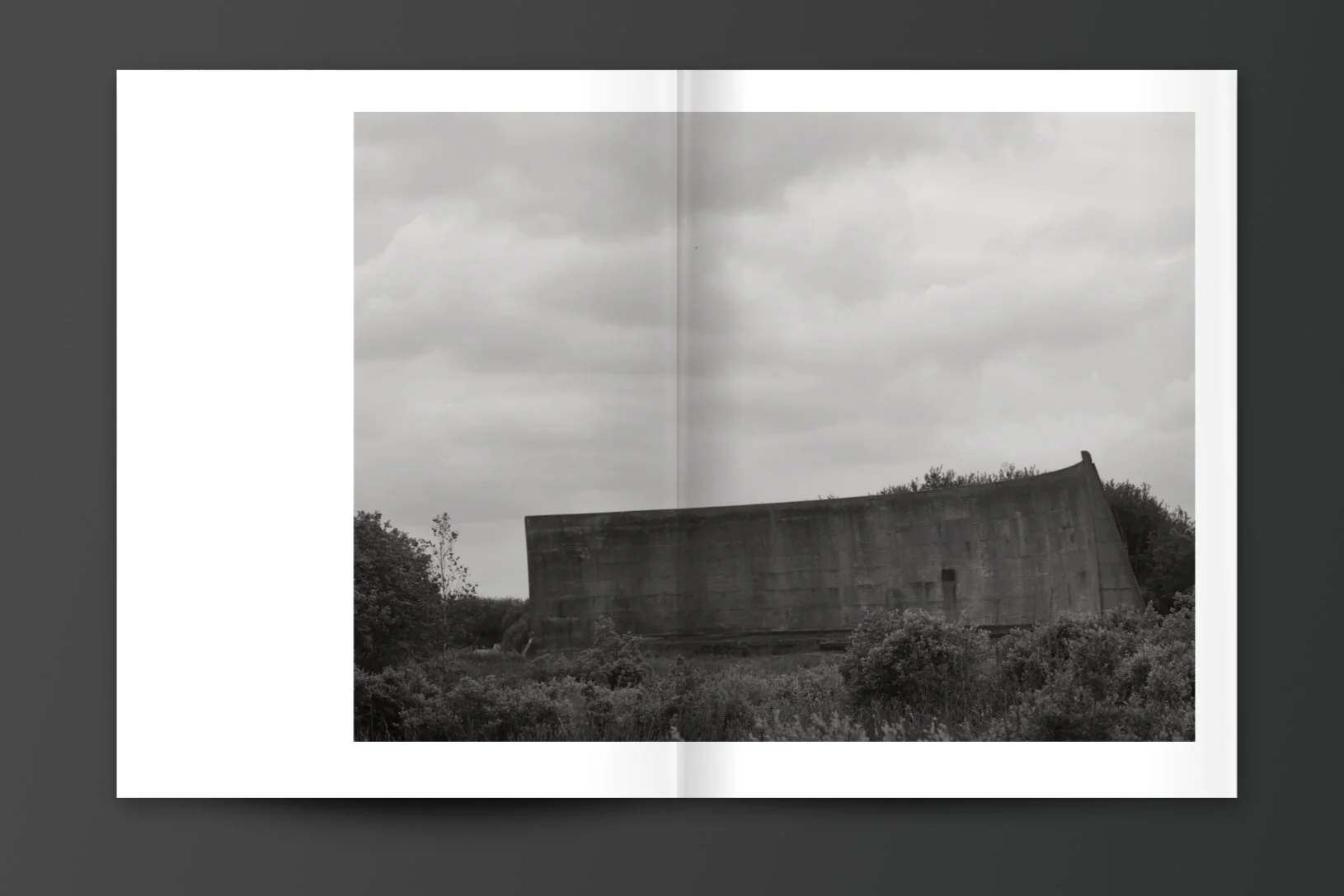 Mo_Dungeness_spreads_7.jpg