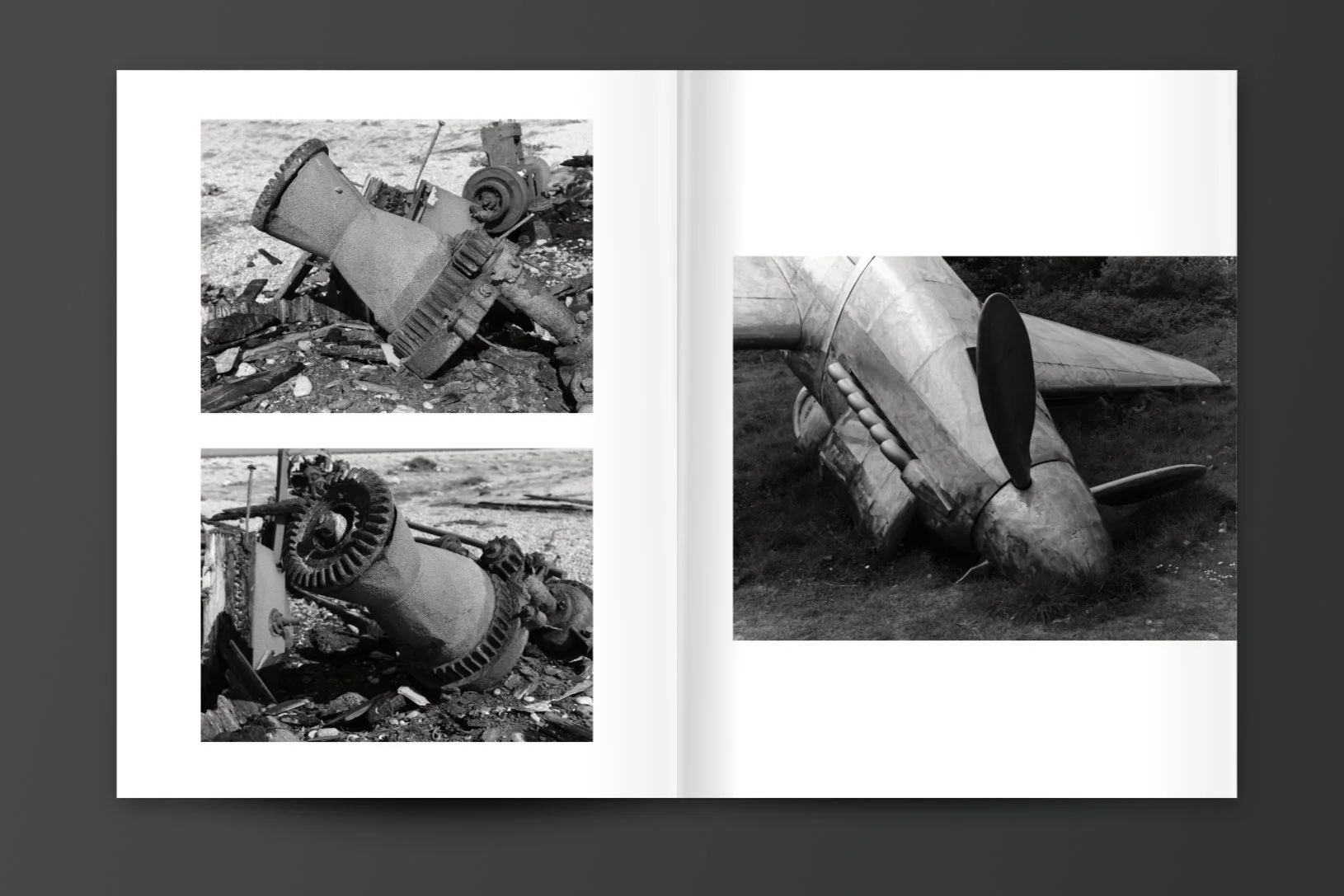Mo_Dungeness_spreads_5.jpg