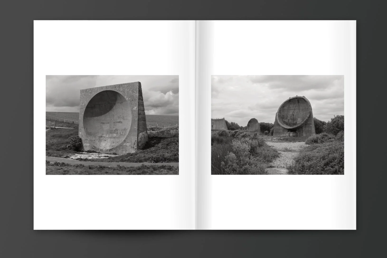 Mo_Dungeness_spreads_6.jpg