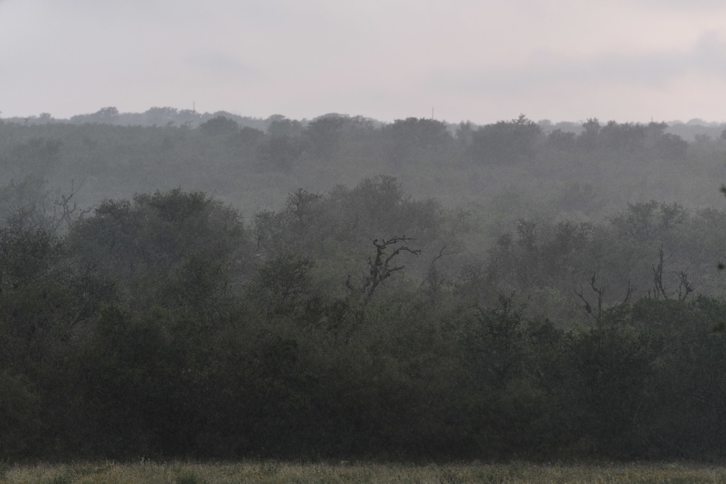 _DSC3057.jpg