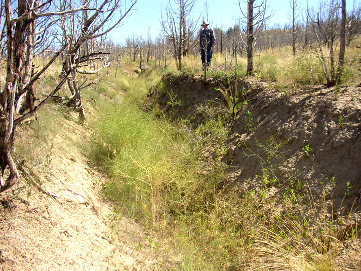 8 Ruts N. of Birch Creek California rte.jpg