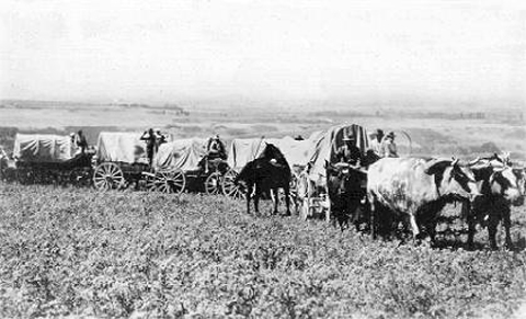 Mormon Trek Re-enactment