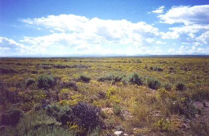 1. Made about nine miles SW of Fort Bridger, WY, 8/23/97. Beauty on Wyoming's High Plains. Photograph by Steve Berlin. There is a spare beauty to the Wyoming landscape along this part of the trail as can be appreciated in this view from Bigelow Bench, south toward the Uintah Mountains in Utah.