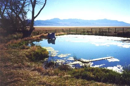 4. Made 10/18/97 , ~22 miles North of Wendover, UT. Donner Spring at Foot of Pilot Peak. Photograph by Steve Berlin. This is Donner Spring, life-giving font to many struggling emigrant trains on the Hastings Road. View looking southeast. In conjunction with the 1994 OCTA convention in Salt Lake City the Utah Crossroads Chapter fenced the spring to protect its natural and historic values, erecting several panels that describe the life-saving importance of these waters for people and animals that made it across the arid 83 mile expanse of salt desert to the east, a portion of which is the sliver of white just below the distant mountain.