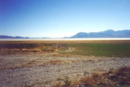 6. Made 10/18/97 , just east of Lucin, UT. Salt Desert from Donner Spring N. of Wendover, UT. Photograph by Steve Berlin. These salt flats east of Donner Spring, 8-10 miles wide, were the last great, dry barrier on the Long Drive to be crossed before reaching sweet water. Far out on the salt, flagging, stuporous animals could sometimes smell the distant water for miles and had to be restrained from running toward the salvation they sensed. Exhausted and suffering men, women and children who had made the crossing finished these last miles with renewed hope. From Donner Spring many returned across the salt bearing water to slake the thirst of struggling comrades and animals and sometimes to save their lives.