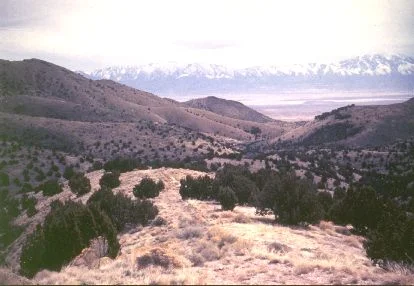 6. Made 1995, Hastings Pass Cedar Mountains, Skull Valley, UT. Photograph: Copyright © 1995 Roy D. Tea. This is the view southeast from Hastings Pass in the Cedar Mountains which furnish the western margin of Skull Valley. Across the valley is the Stansbury Range with Deseret Peak on the right. The trail is along a hogback ridge and can be seen in the lower center of the photograph. Lansford W. Hastings first traveled the road that bears his name in the summer of 1846 and was eastbound. There is some controversy about whether he crossed the Cedar Mountains on that trip at this place or a few miles south. Stansbury, in the area in 1849, thought it was the latter.