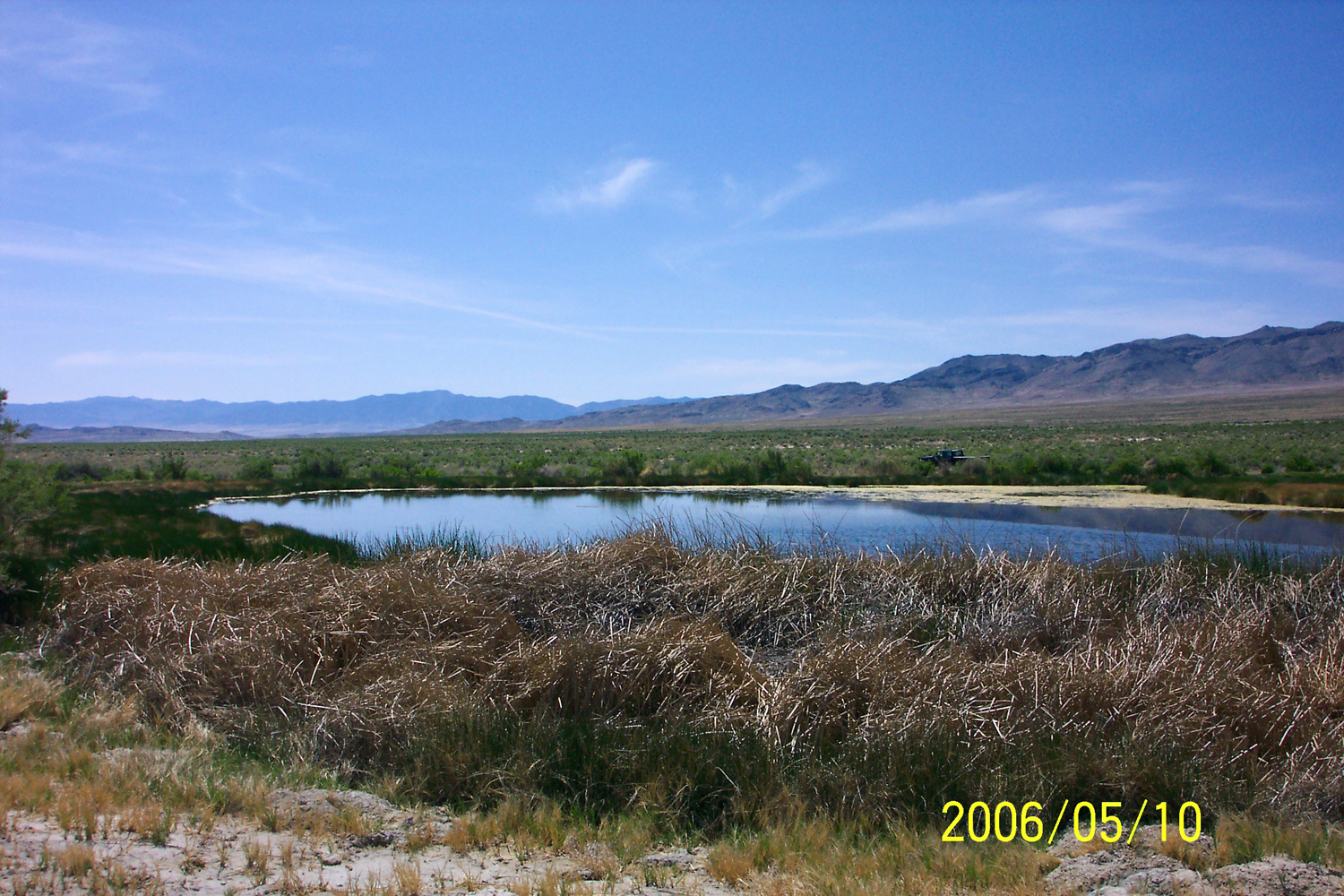 Halls Springs