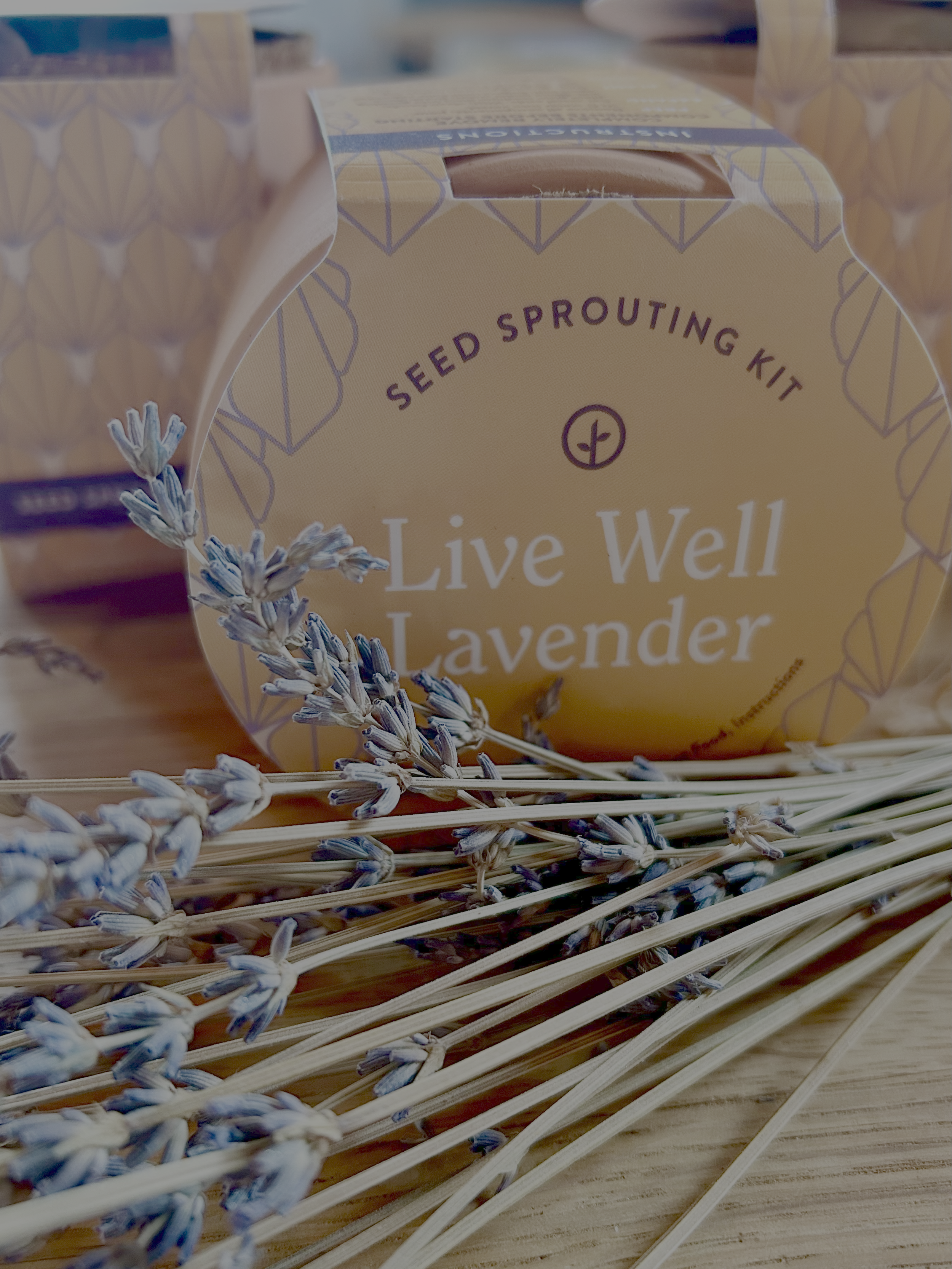 Live Well Lavender seed sprouting kit