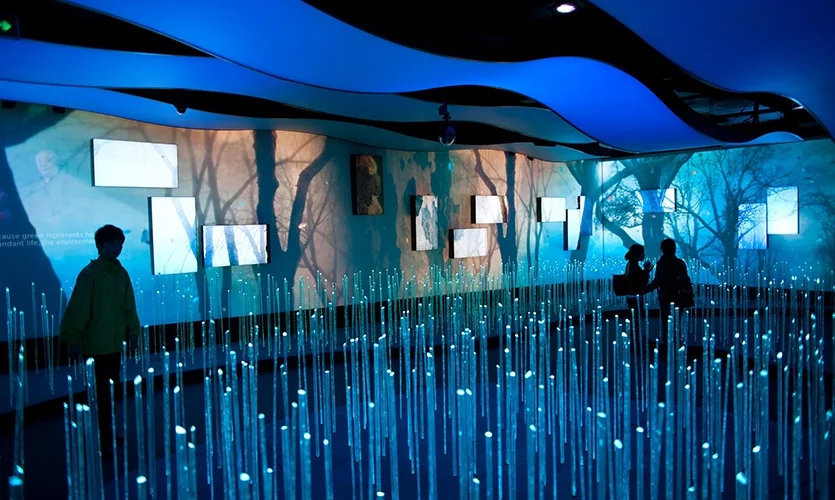 A fascination with light and projection.