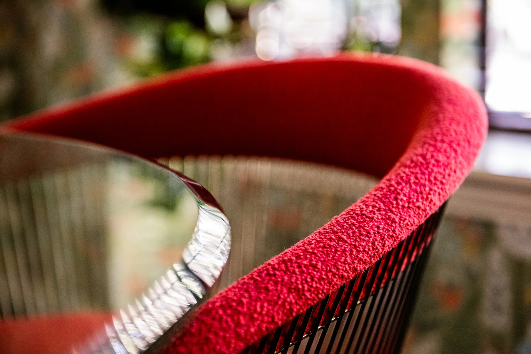 D81_1586-Edit.jpg