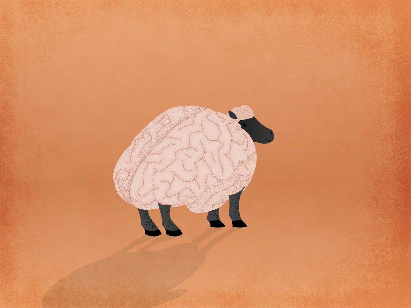 Sheepish
