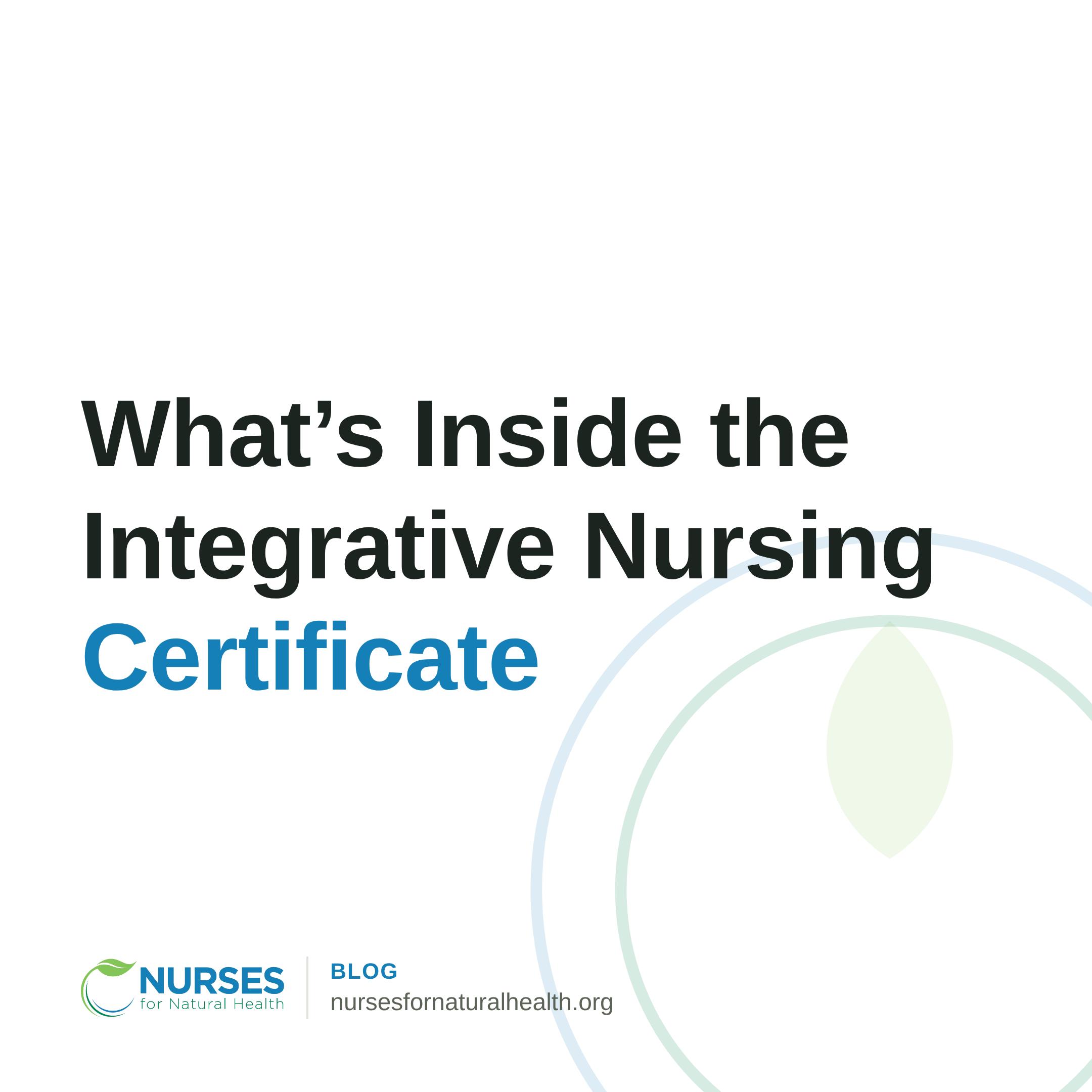 What's Inside the Integrative Nursing Certificate