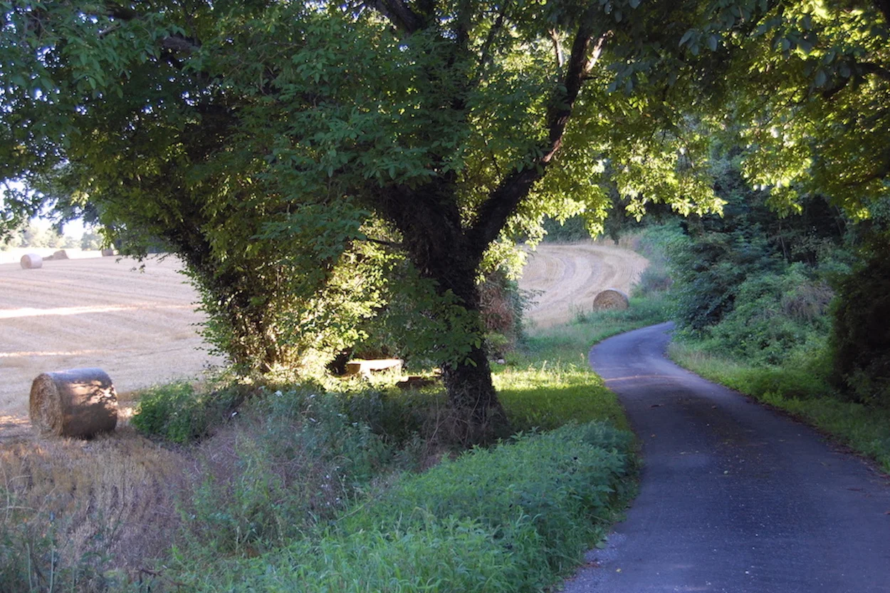 Le Ruisseau Perdu Welcome To Le Ruisseau Perdu Offering Peace And Tranquility In Rural France