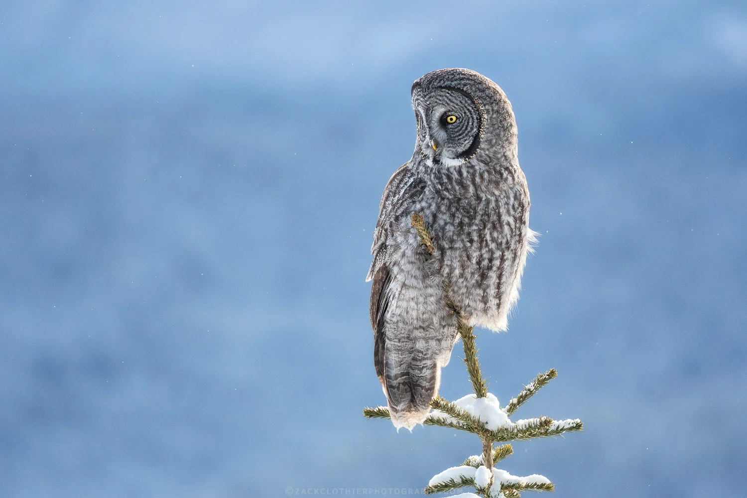 "Light As A Feather"