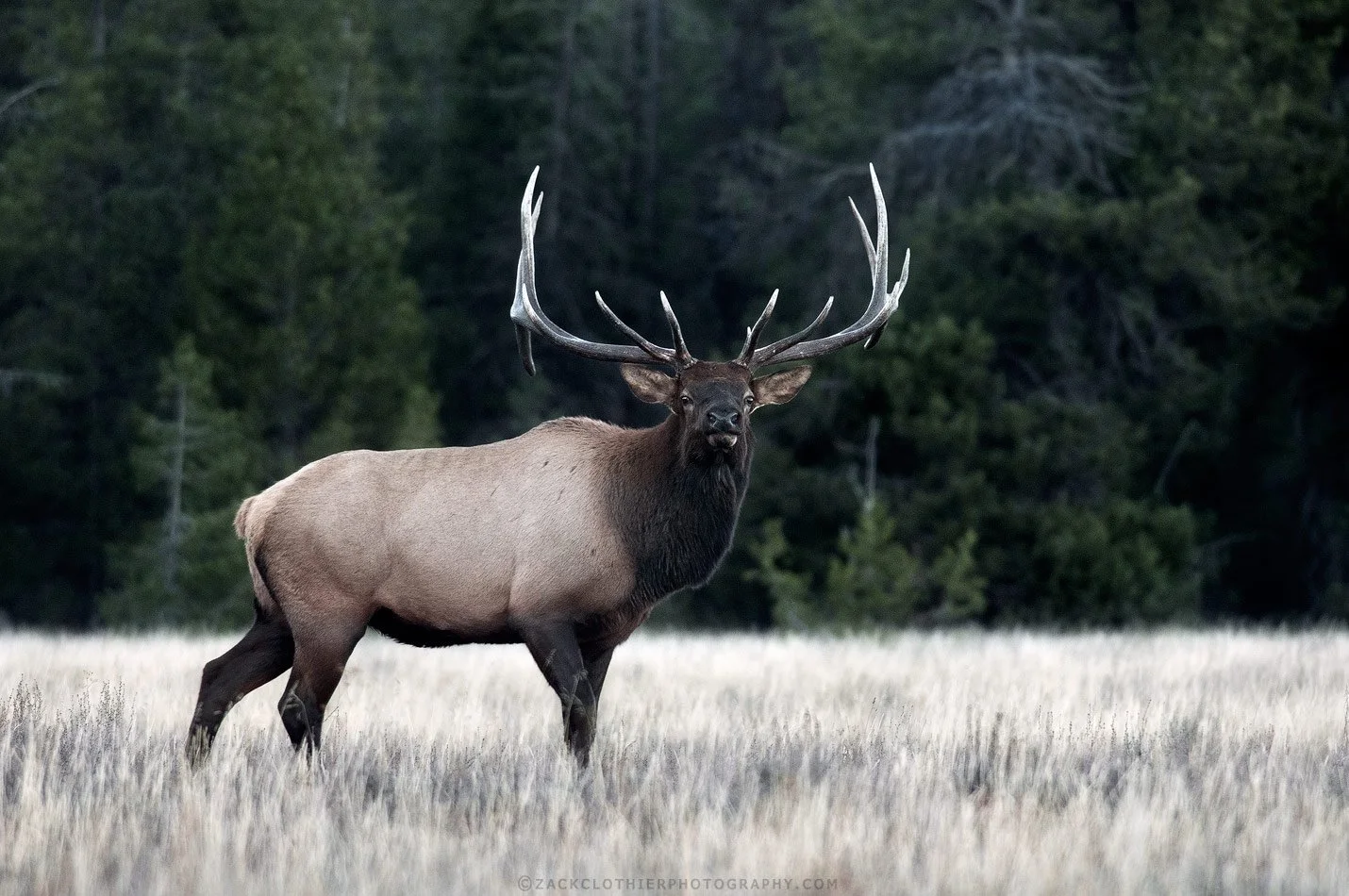 "Challenge Accepted"