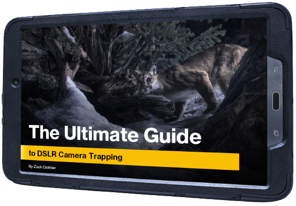 The Ultimate Guide to DSLR Camera Trapping eBook - Camera Trap Photography for Wildlife