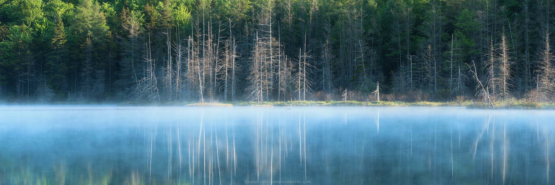 "FOREVER WILD" - Adirondack Morning Moose River Plains New York Panoramic Fine Art Print by Zack Clothier Photography