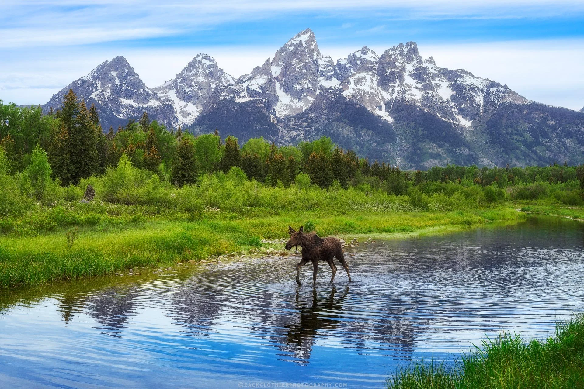 Moose-Pond.jpg