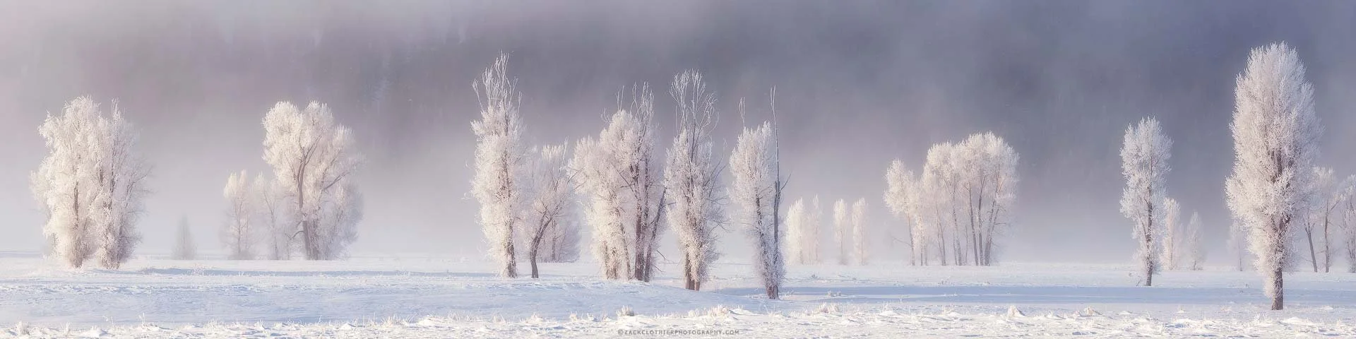 Souls-of-Winter.jpg