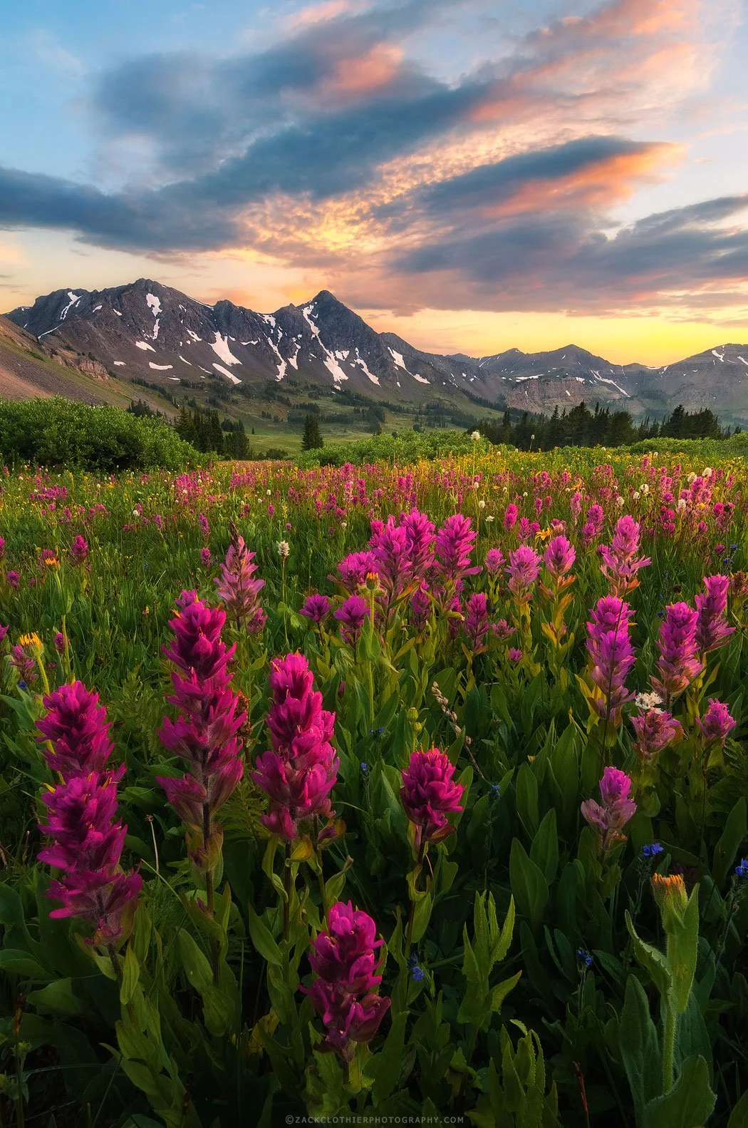 A-Montana-Moment-Montana-Fine-Art-Nature-Print-Photography.jpg