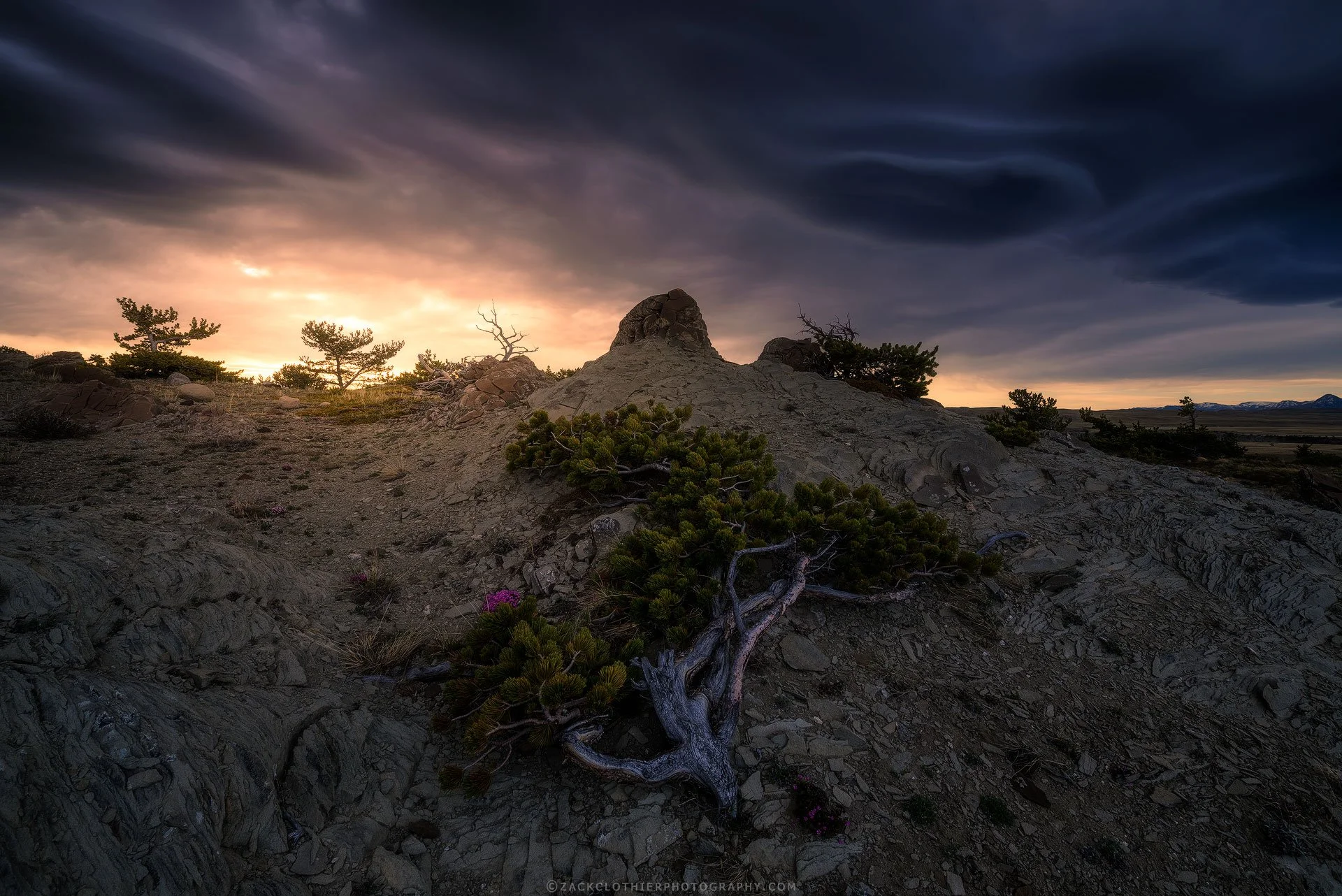 Awake-The-Soul-Montana-Fine-Art-Nature-Print-Photography.jpg