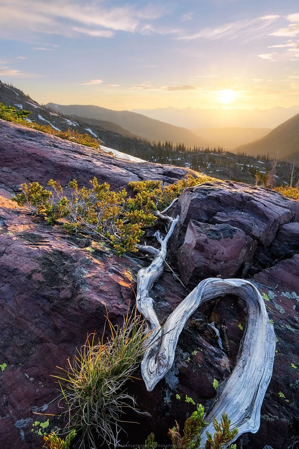 Reaching-Montana-Fine-Art-Nature-Print-Photography.jpg