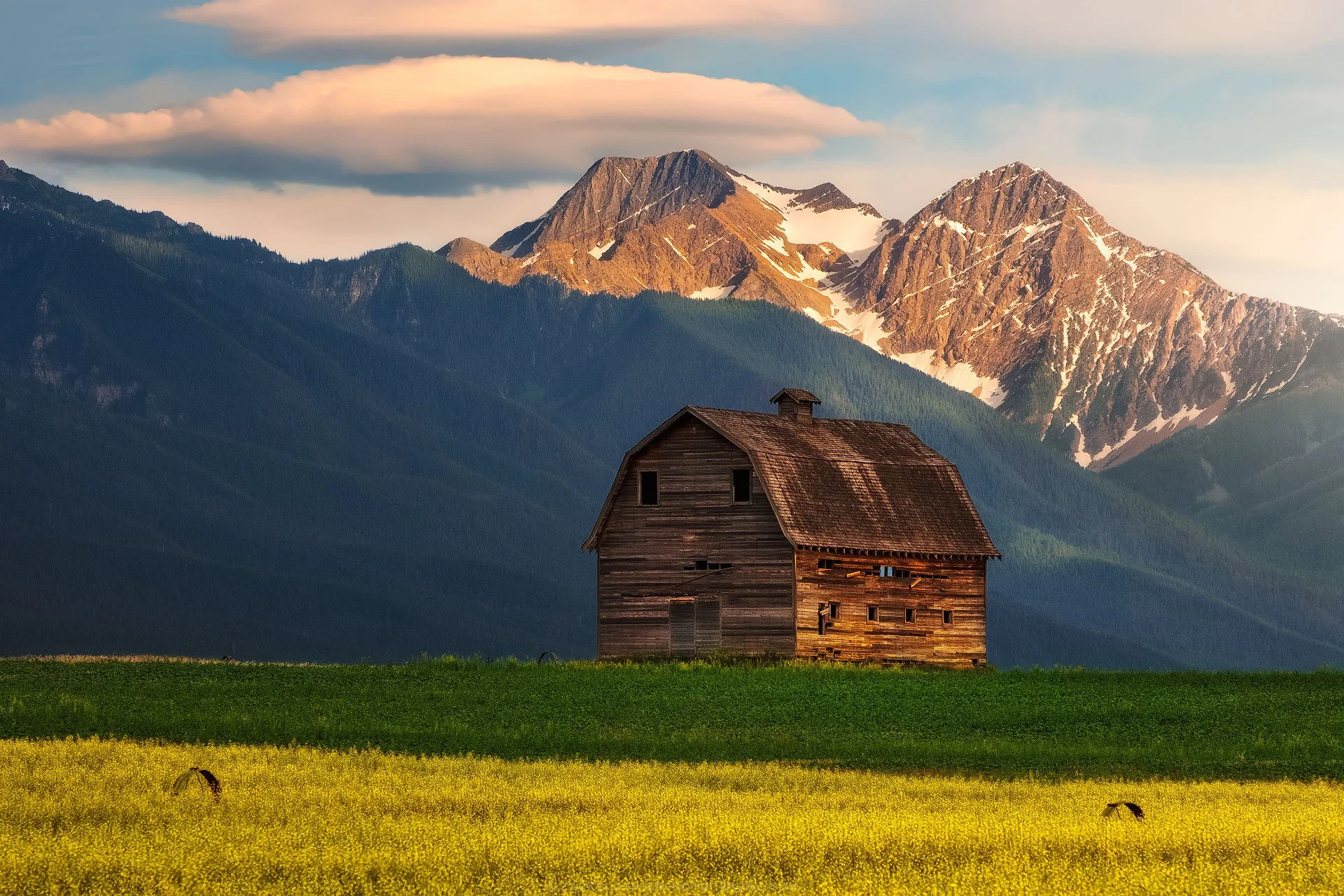 Ronan-Montana-Fine-Art-Nature-Print-Photography.jpg