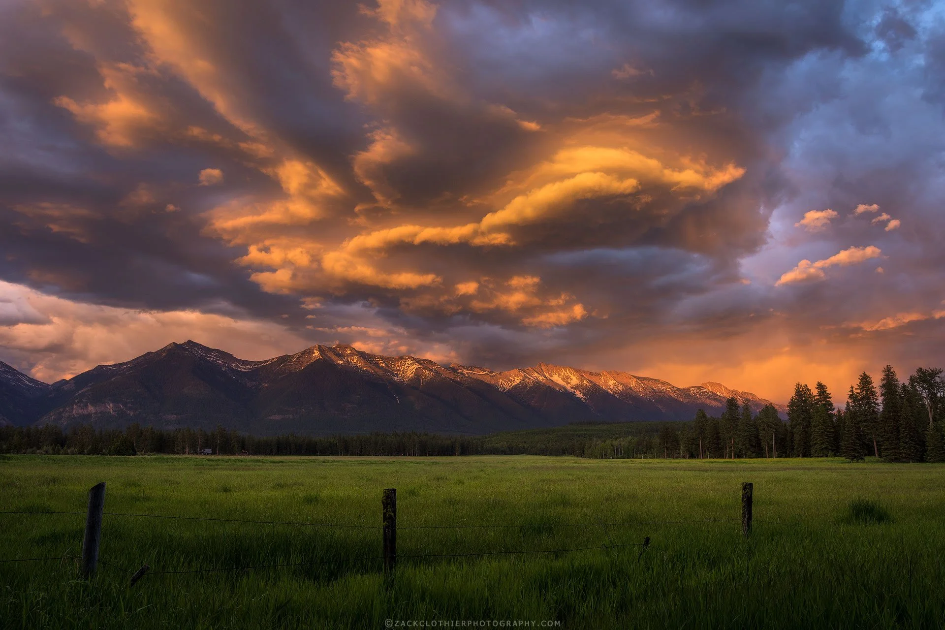 Spring-Theatrics-Montana-Fine-Art-Nature-Print-Photography.jpg