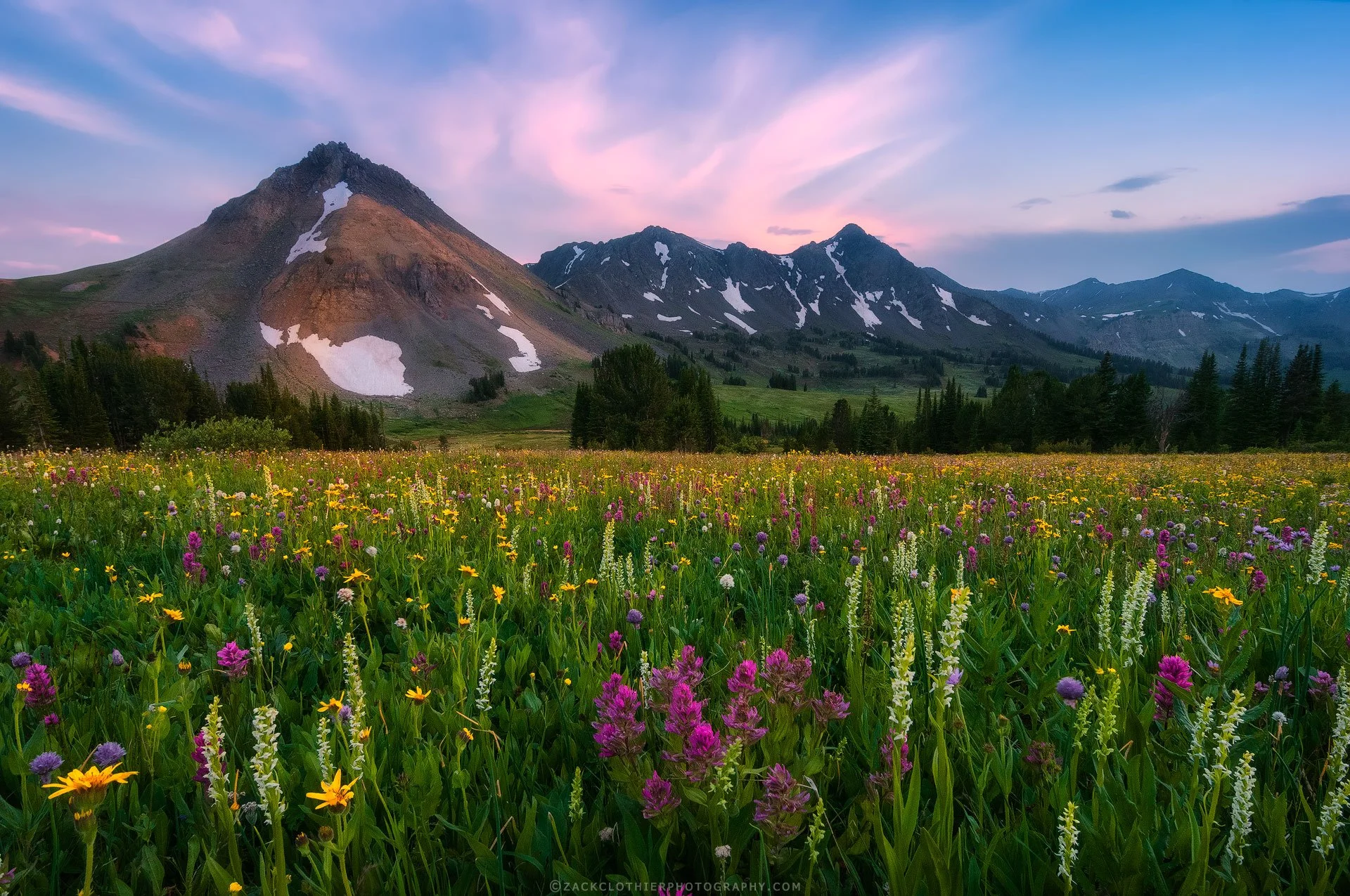 Summer-Dreams-Montana-Fine-Art-Nature-Print-Photography.jpg