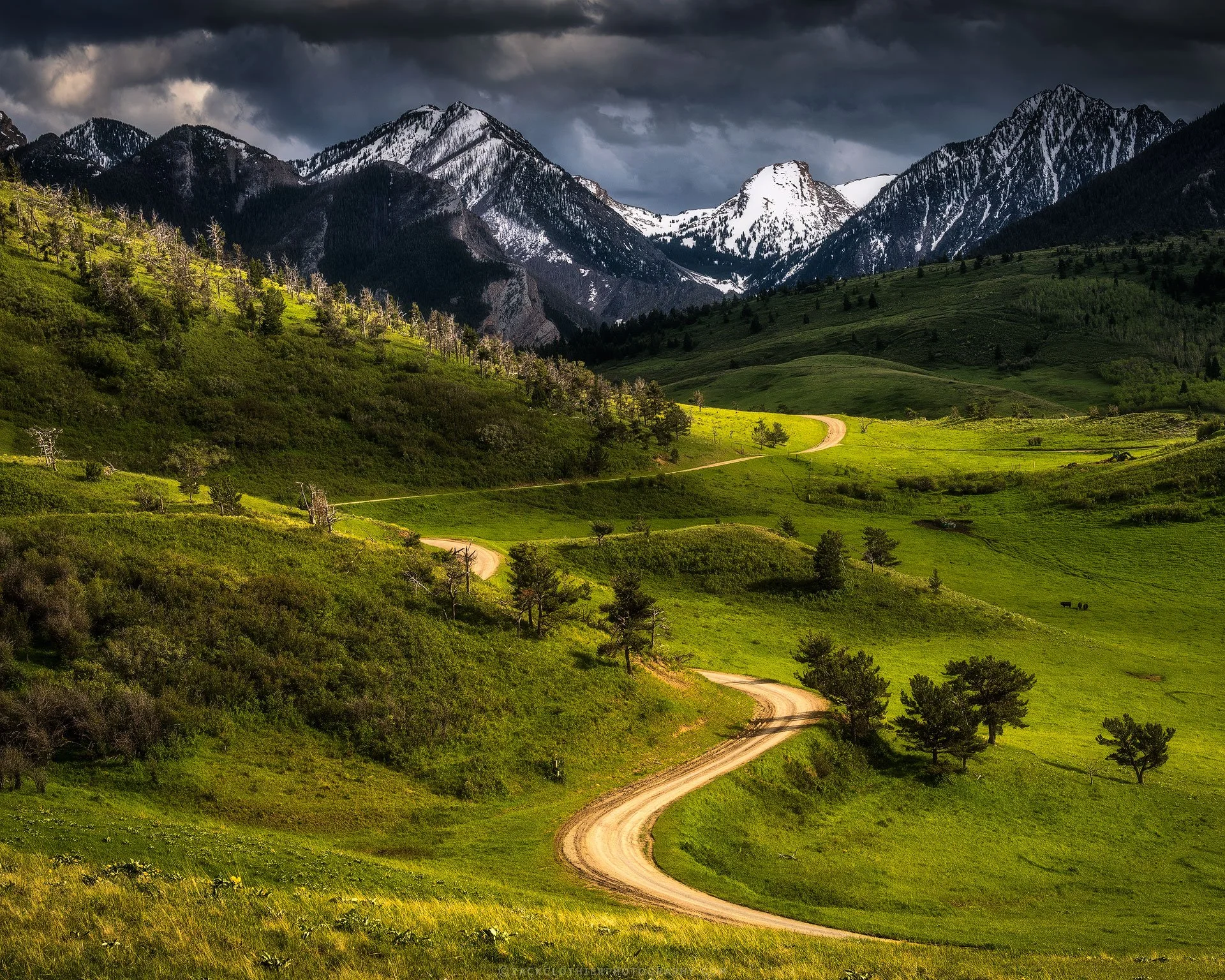 Timeless-Journey-Montana-Fine-Art-Nature-Print-Photography.jpg