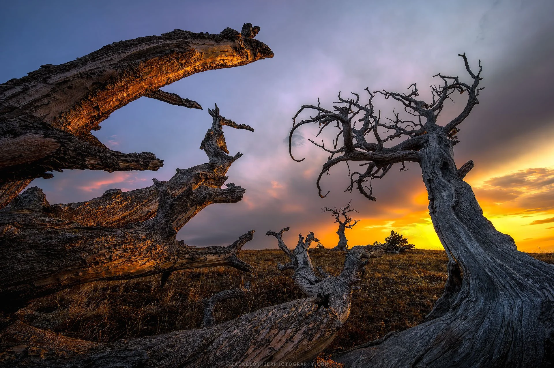 Wicked-Montana-Fine-Art-Nature-Print-Photography.jpg